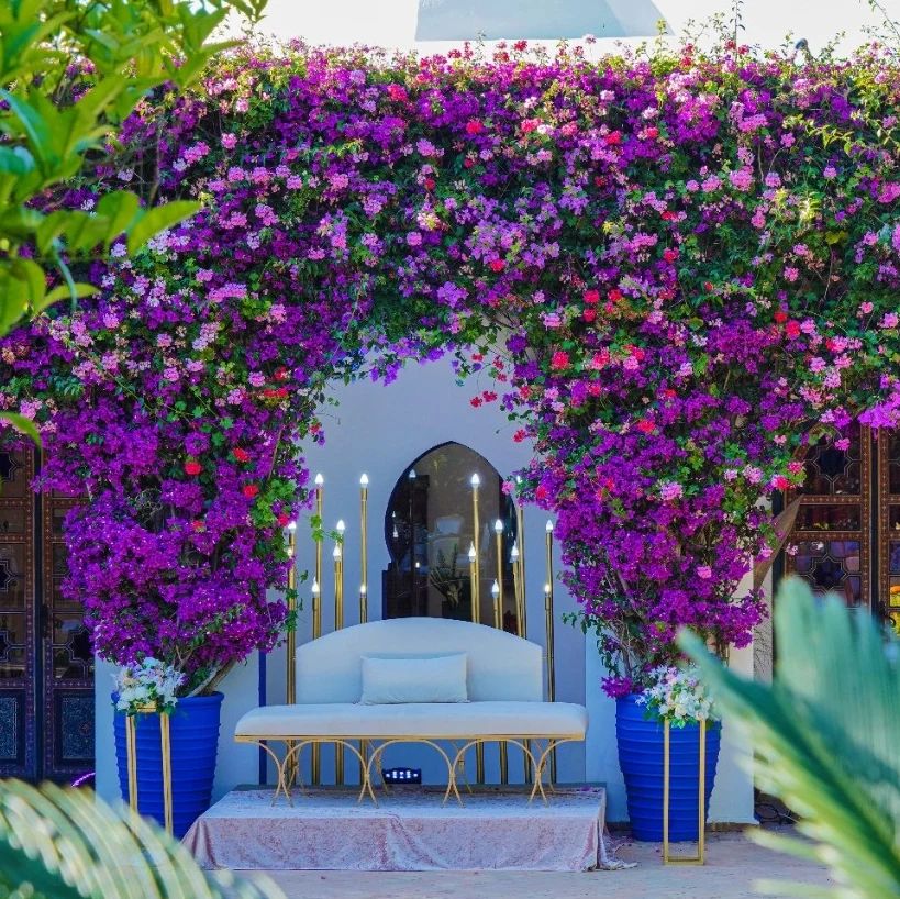 Traiteur Fancy's Gourmet